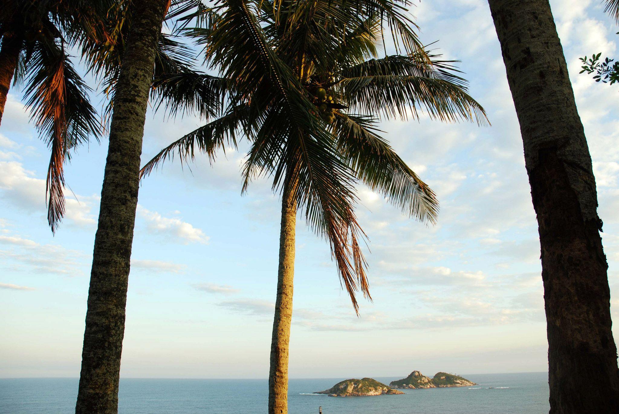 Homestay Cliffside - Boutique & Rio de Janeiro